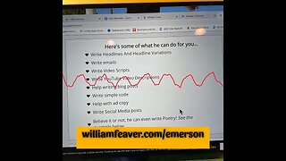 emerson trial 1-19-23