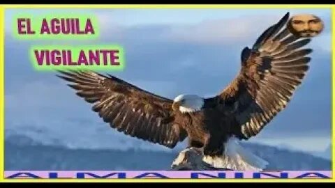 EL AGUILA VIGILANTE MENSAJE DE JESUCRISTO REY A UN ALMA NIÑA