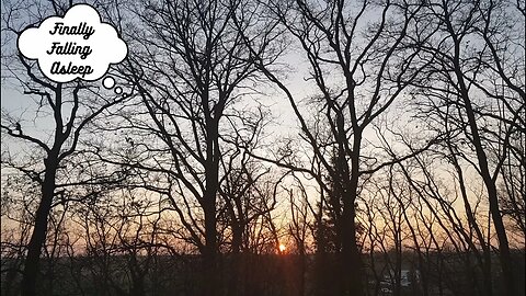 8 hours of chirping birds in my backyard at sunset in March | Sunset back and forth | Relaxing Video