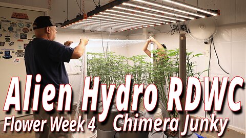 Alien RDWC In Flower Week 4: Spider Farmer SE7000 Full Garden Update