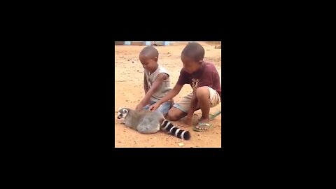 viral funny video 2023