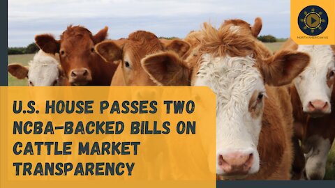 U.S. House Passes Two NCBA-Backed Bills on Cattle Market Transparency
