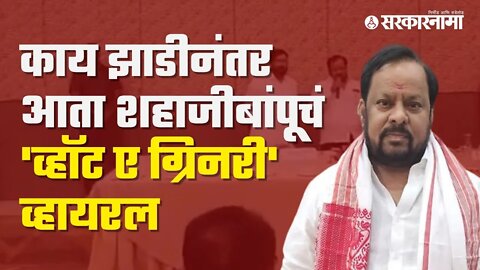 Shahajibapu patil dialogue | पाहा, आसामच्या मुख्यमंत्र्यांना शहाजीबापूंनी शिकवला डायलॉग | Sarkarnama