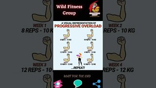 🔥What is progressive overload🔥#shorts🔥#wildfitnessgroup🔥13 November 2022🔥