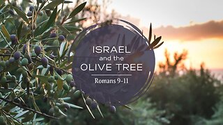 Israel and the Olive Tree (Romans 9-11)
