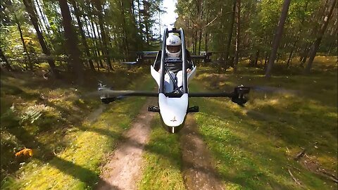 Flying Through The Forest