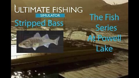 Ultimate Fishing Simulator: The Fish - Powell Lake - Stripped Bass - [00007]