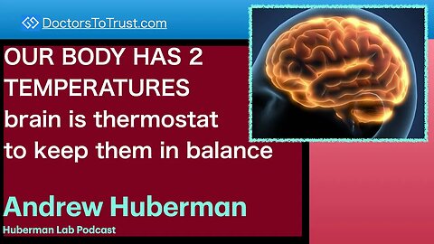 ANDREW HUBERMAN 1 | OUR BODY HAS 2 TEMPERATURES brain is thermostat to keep them in balance