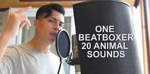One Beatboxer Makes 20 Animal Sounds