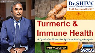 4 Ways How Turmeric Affects the Immune System