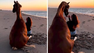 Horse and caretaker enjoy watching the sunset at the beach