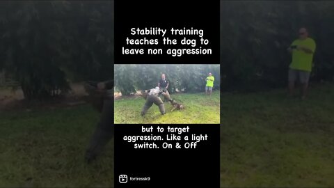 Stability in bite work