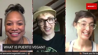 WHAT IS PUERTO VEGAN?