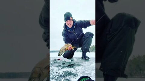 Ice Fishing RAINBOW TROUT How to Ice Fish for Trout