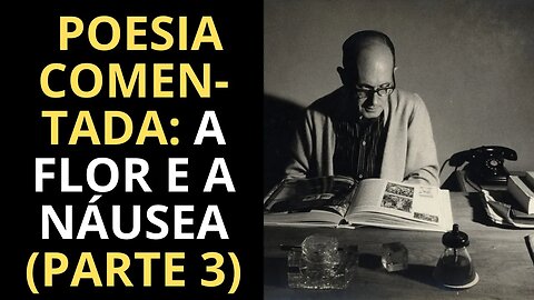 COMENTÁRIOS SOBRE O POEMA A FLOR E A NÁUSEA DE CARLOS DRUMMOND DE ANDRADE (PARTE 3)