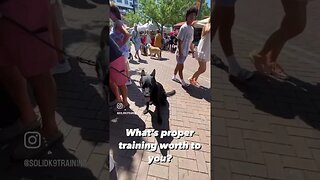 Dog training for public access is powerful