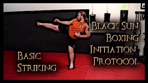 Basic Striking - Black Sun Boxing Initiation Protocol - Part 2