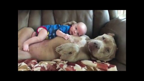 Child sleeps with puppy baby sleep with Pitbull!!