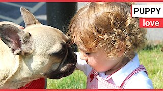 Vet parents of boy whose life was saved by doctor return favour by treating his DOG