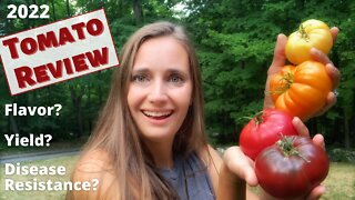 The Best Tomato Varieties | A Review of my 2022 Tomatoes