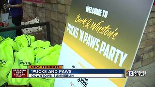 Pucks and Paws brings dog and hockey lovers together