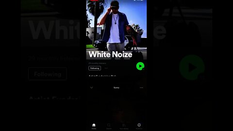 Add White Noize to your Spotify Playlist