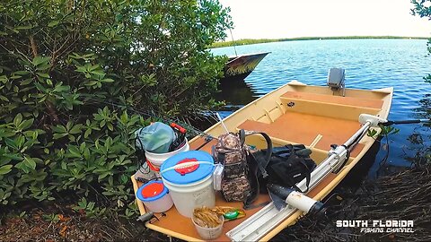 Fishing the Mangroves in Key Largo (catch and cook)