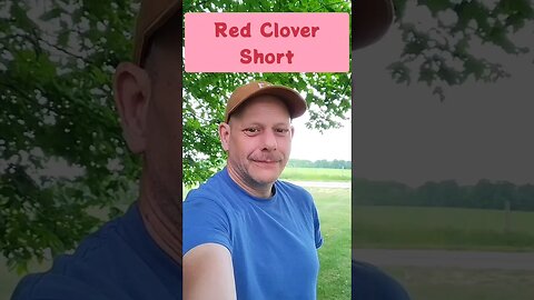 Red Clover's Secret Super Power - #healthy #diy #breakingnews #nature
