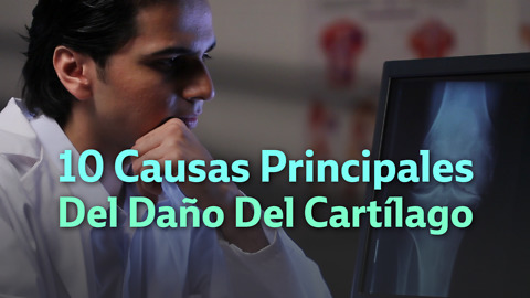 10 Causas Principales Del Daño Del Cartílago