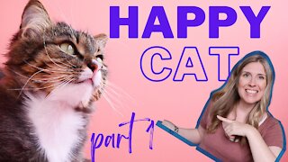 How To Raise A Happy Healthy Cat | Happy Cat Month September 2021 | Part 1