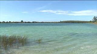 FWC warns pet owners going near body's of water