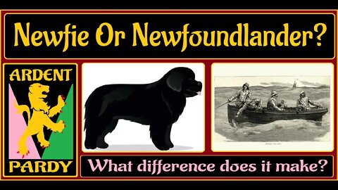 Terra Nova Tuesday ~ Newfie or Newfoundlander?