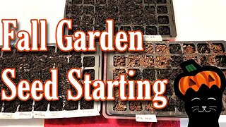 Fall Garden 2022 and Planting New Varieties