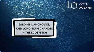 Sardines, Anchovies, and long-term ecosystem changes!