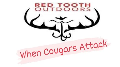 When Cougars Attack