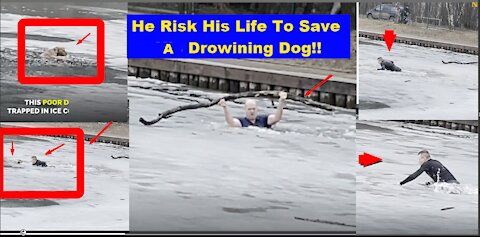 This Man is Risking His Own Life To Save A Drowning Dog!