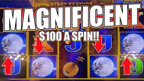 HIGH LIMIT DRAGON LINK SLOT SESSION AT $100/SPIN!