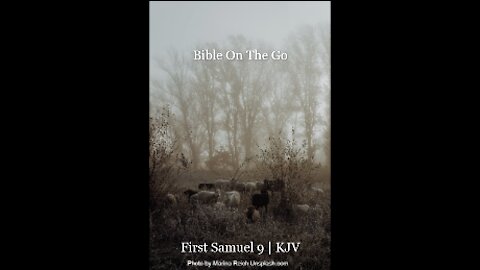 1 SAMUEL 9 | KJV