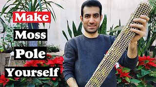 Make moss pole | How to make a moss pole at home?