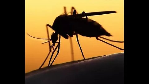 Malaria - let's talk about it.