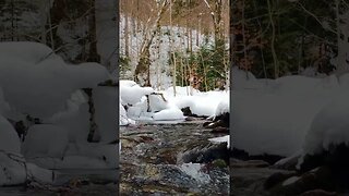 free nature video