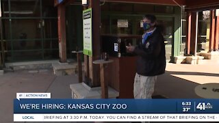 We're Hiring; Kansas City Zoo