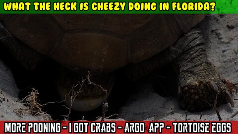 (S3 E3) More pontoon, I got crabs, Marine Argo Nav app, good food and TORTOISE laying eggs!