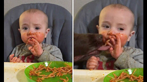 Baby shares food with her dog's! We've all done this!!