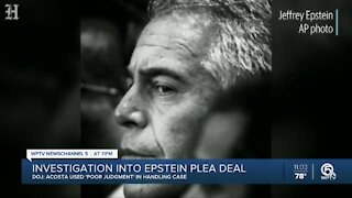 Investigation into Epstein plea deal