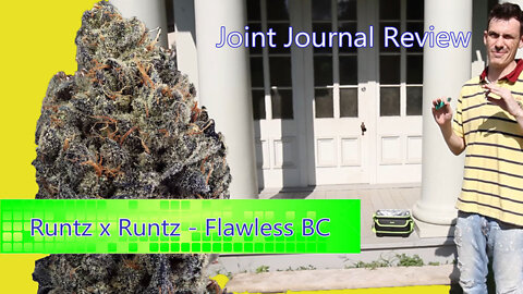 Kushector Joint Journal Review - Runtz x Runtz by: Flawless BC