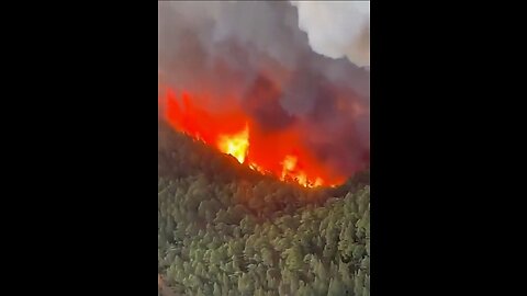 Massive Wildfire In Tenerife, Spain