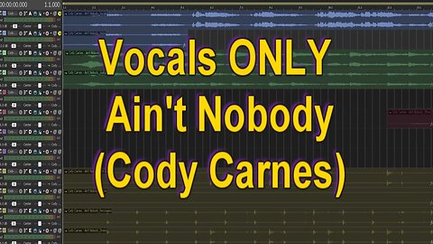 Vocals ONLY - Ain't Nobody (Cody Carnes)