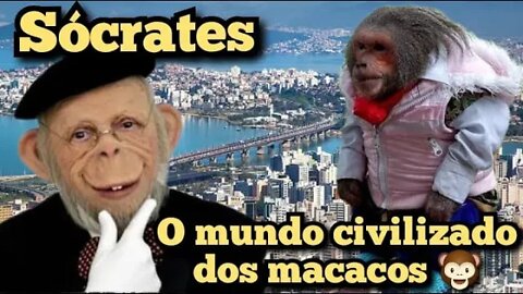 Escolinha do Professor Raimundo; Sócrates, o mundo organizado e ecológico dos macacos 🙊🙈🙉