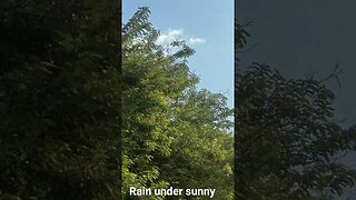 #shortsvideo #shortvideo Rain under sunny..